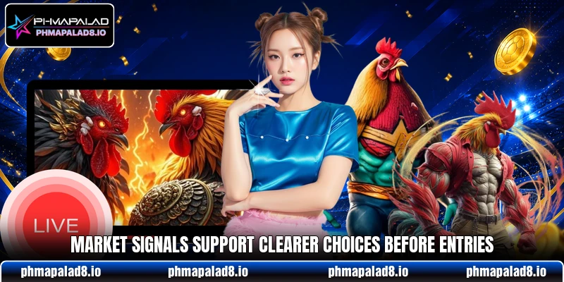 Market signals support clearer choices before entries Market signals support clearer choices before entries