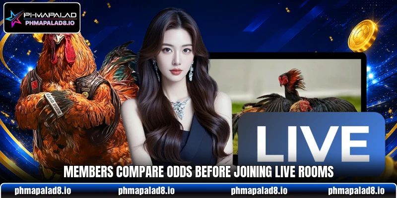 Members compare odds before joining live rooms Members compare odds before joining live rooms