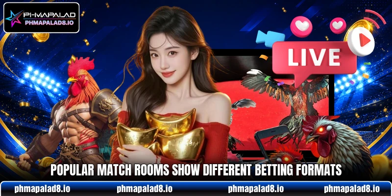 Popular match rooms show different betting formats Popular match rooms show different betting formats